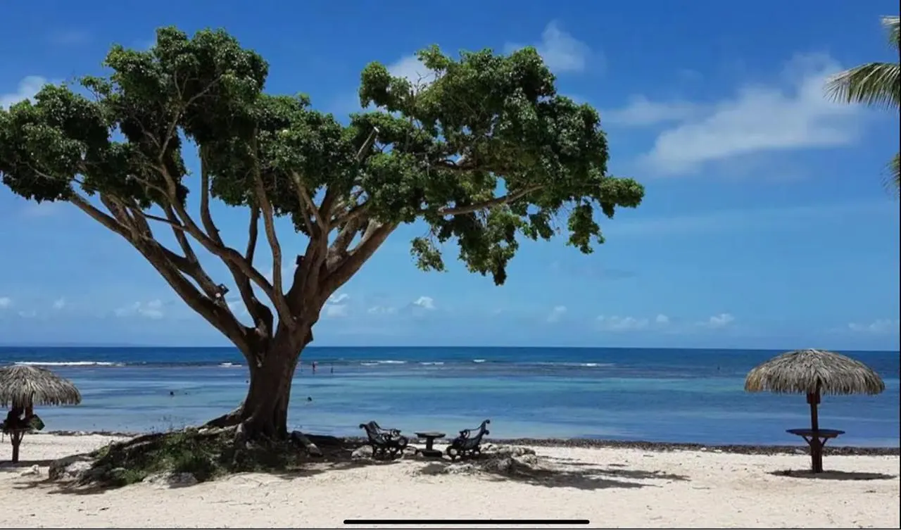 Le 35 Anse Des Rochers Saint-Francois Guadeloupe