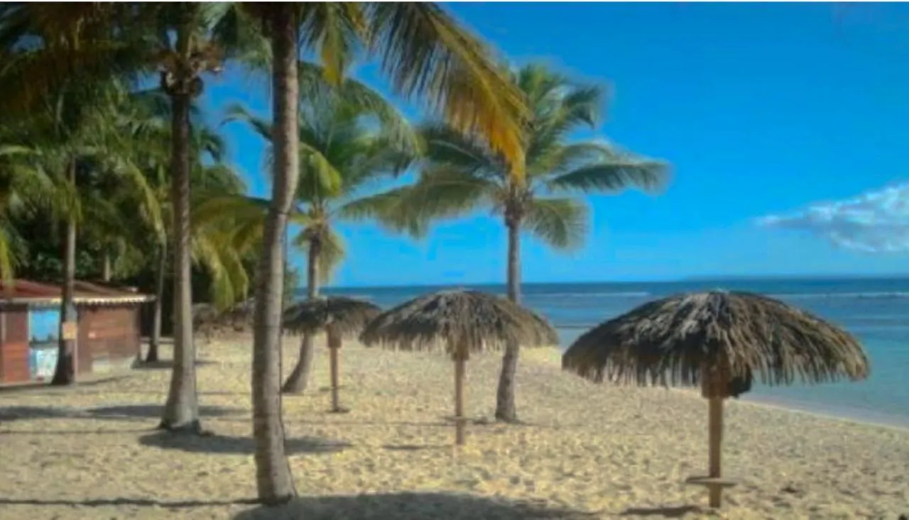 Le 35 Anse Des Rochers Saint-Francois 0*, Saint-Francois (Grande-Terre) Guadeloupe